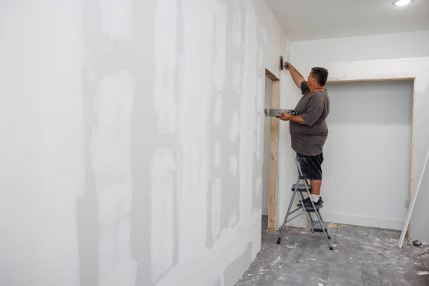 Reliable Glendale, CA Mold Removal Solutions
